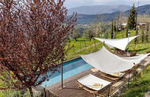 Villa Ancora Tenuta Lonciano - Photo 9