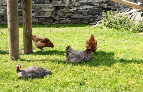 Puffin Lodge - Photo 20