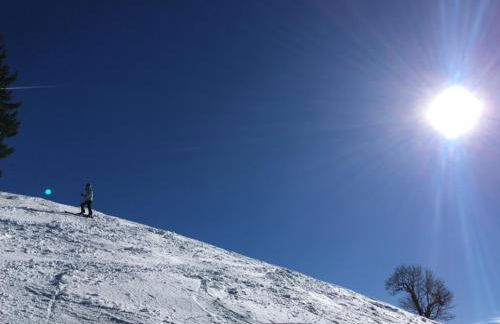 Ferienhof Wäldle - Wäldle 1 und Wäldle 2 mit Motorradvermietung - Photo 70