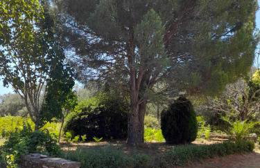 Lemontree Apartments - Foto 12