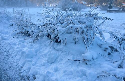 Domek w górach, noclegi w górach , Przystanek Stodoła , nocleg Beskidy , Velo Soła, balia ogrodowa, Rajcza, Rycerka - Foto 27