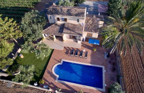 Vinyes Can Grau - Foto 12