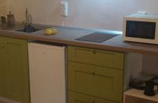 Frida Kahlo - Foto 2