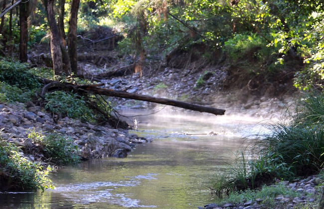 Yabbaloumba Retreat - Foto 21