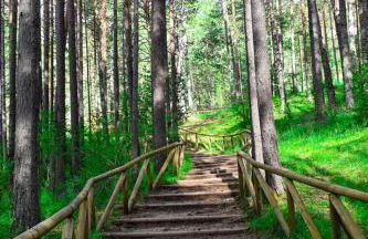 Alojamiento Rural El Morenal - Foto 32