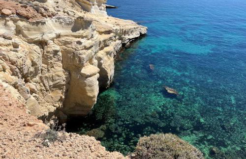 Apartamento Alma - Foto 21