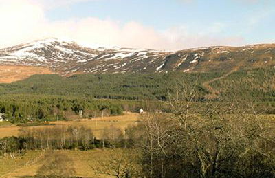 Holly Cottage - Foto 35