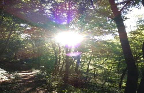 Wine Country Apartment - Foto 30