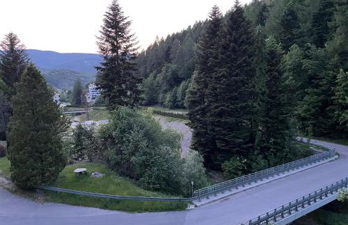 Apartament Kurort Kozubnik - Taras nad Potokiem - Foto 37