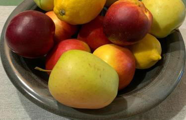 Monalisa sweet house - Appartamento Marilleva 1400 - Foto 28