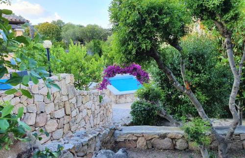 VILLA SABA - Foto 20