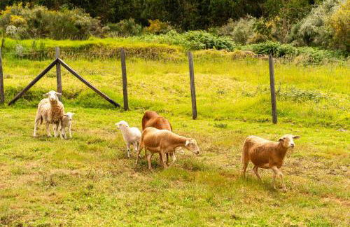 Florenças House - Private Jacuzzi & Garden - Foto 67