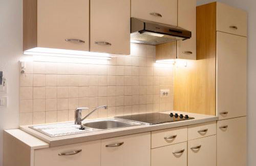 Hatzlhof Appartements - Foto 53