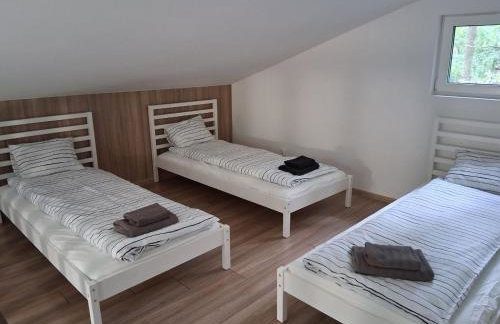 Bizon Village - Foto 58