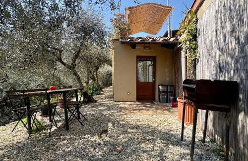 Rivolta home - Foto 7