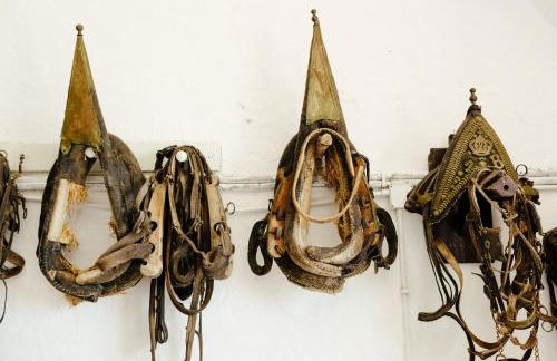 Masseria Tagliente - Foto 42