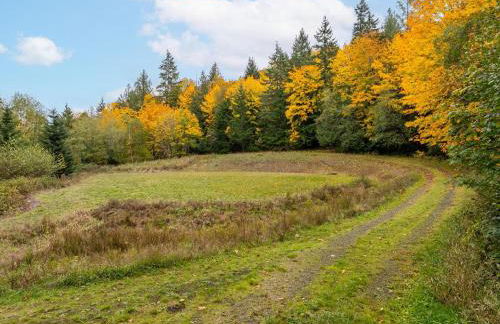 Custom Crafted Forest Retreat with Pond on 5 Acres - Photo 54