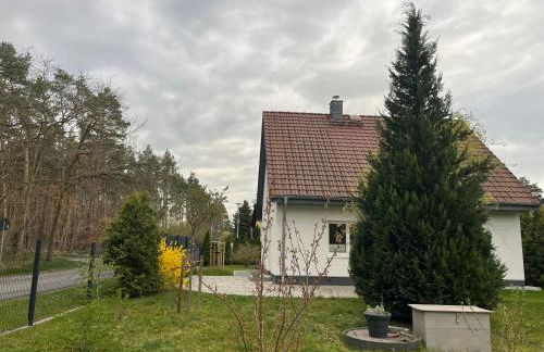 TOLE Ferienunterkunft - Foto 19