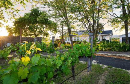 Chic Sonoma Oasis w Pool Bocce Hot Tub Minutes to Downtown - Foto 40