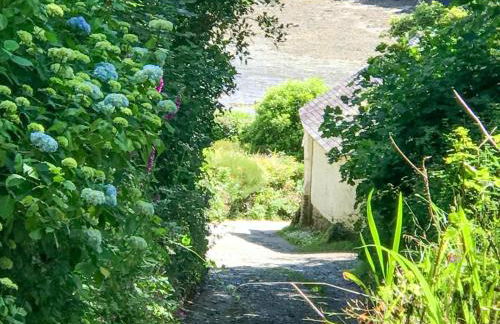 3 Bed in Helford oc-hcwedn - Foto 34