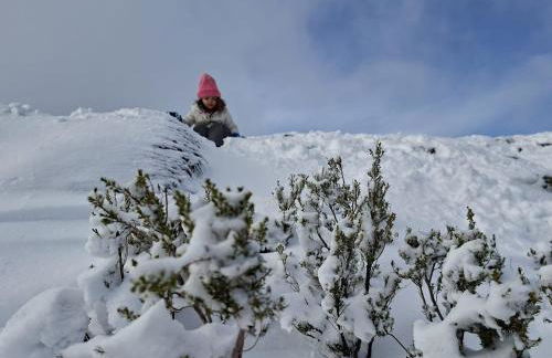 Chalé Acolhedor - Penhas da Saúde - Serra da Estrela - Foto 3