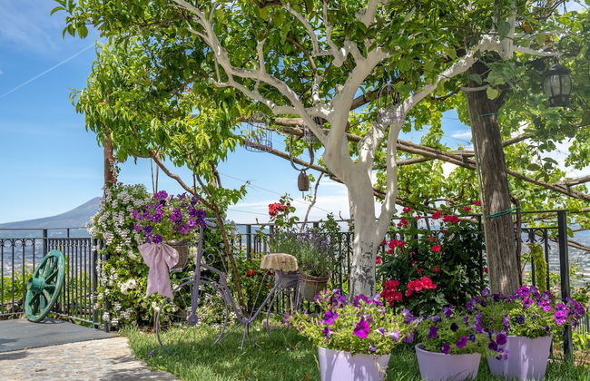 Agriturismo Villa Palmentiello - Foto 28