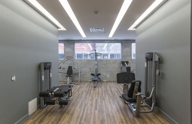 QuickStay - Luxury Executive in Yorkville (Yonge & Bloor) - Photo 20