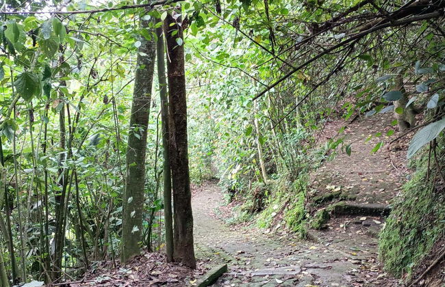 Parque de la Vida Free Tour - Photo 2