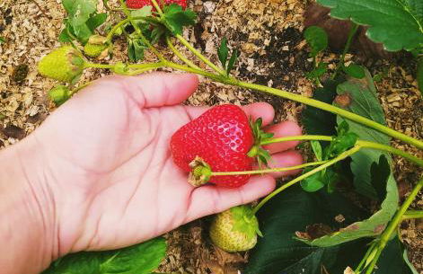 Fogar do Pumar - Foto 42