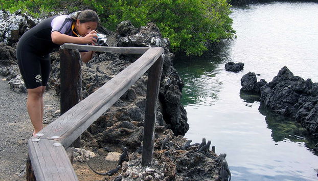 Concha Perla Tour - Foto 4