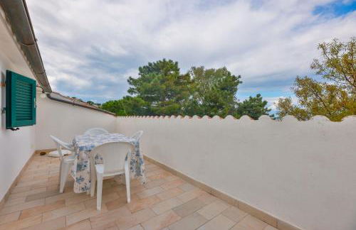 Cotoncello in una posizione panoramica - Goelba - Foto 2