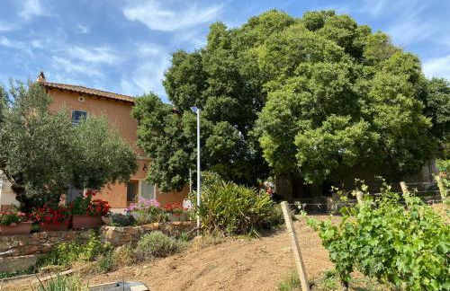 Monte Astili - Foto 30