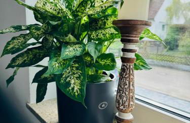 Apartment Ihm AI - Foto 12