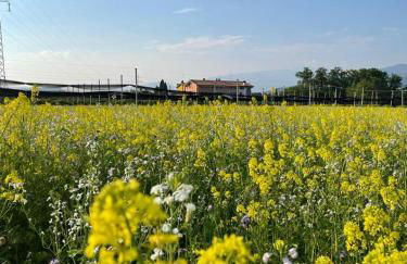 Agriturismo Fior di Maggio - Foto 6