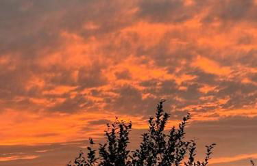 FeWo Krabbenbude - modern und fußläufig zum Strand - Foto 22