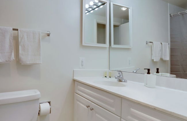 Apt Near Airport in Crystal City - Photo 30