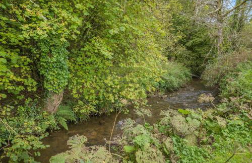 2 Bed in Bridport oc-58848 - Photo 17