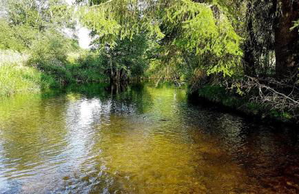 Ferienhaus Mauth - Photo 120