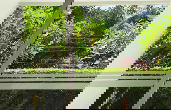 The Meadows Varkala - Photo 23