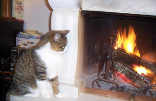 Agriturismo Il Paradiso - Foto 92