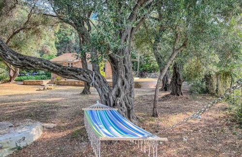 Black Olive Cottage Paramonas - Foto 9