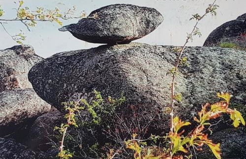 Antiguo Horno de María y Mielgo - Foto 48