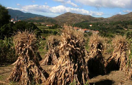 Charming Country House in Riba de Mouro, Fireplace - Foto 18