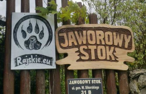 Jaworowy Stok z widokiem na góry i ogrodem - Foto 40
