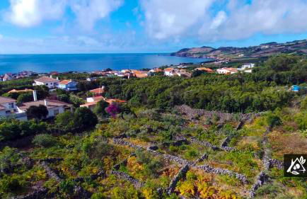 Quinta do Paraíso - Photo 43