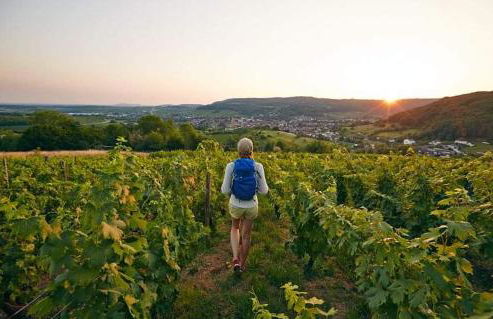 Le p'tit Saint-Pierre - Centre ville - Parking - Foto 41