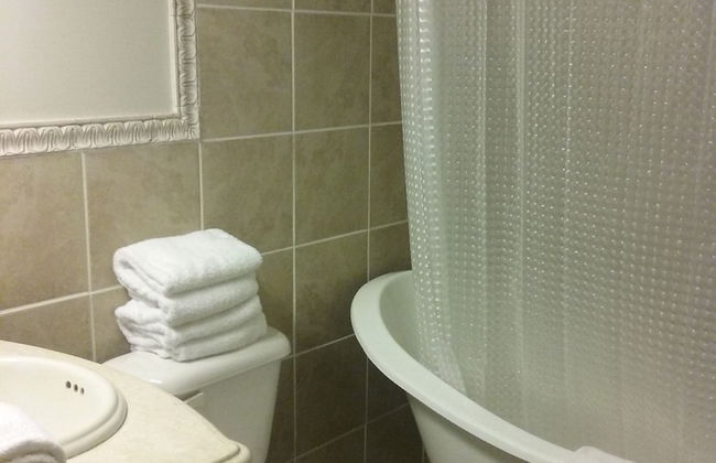 The Storefront East - Photo 6