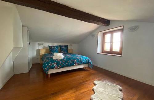 Les coccinelles - Foto 10