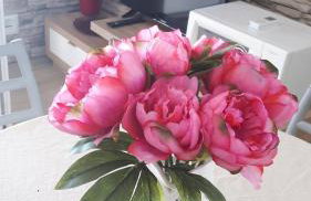 Seaview & Balcony Apartment PETRA - Foto 15