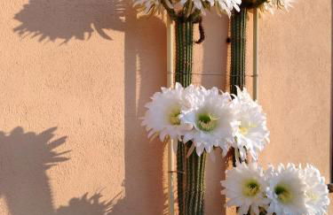 Agriturismo Affittacamere Barbarossa - Foto 72